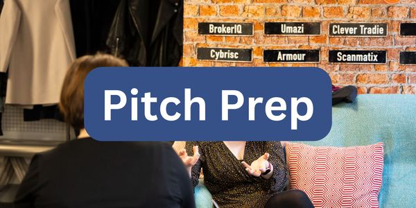 #6 Pitch Preparation & Investable Businesses